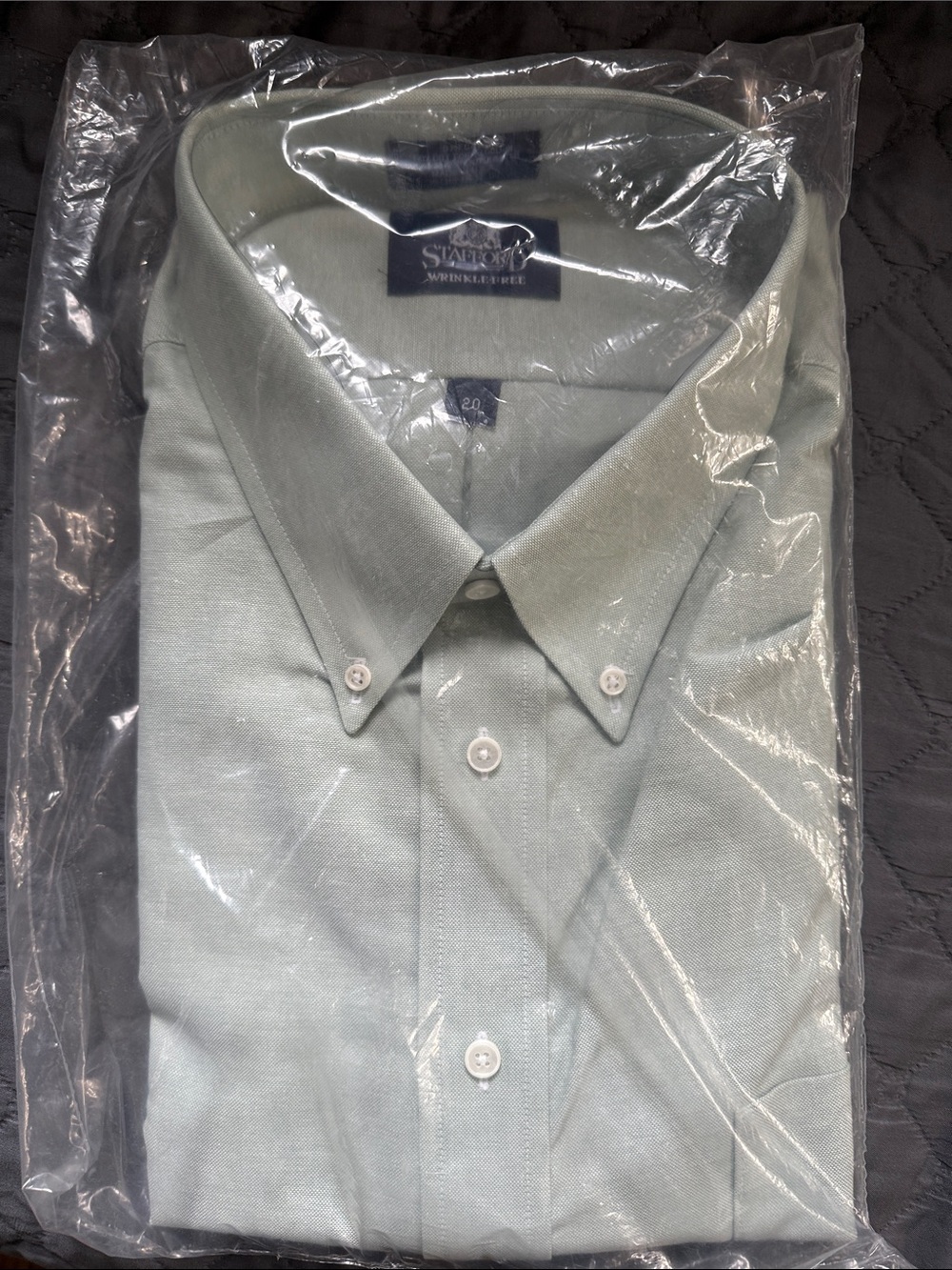 Men's Light Green Button-Down Dress Shirt